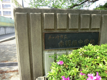 ӊ@a@ 290m NjbN