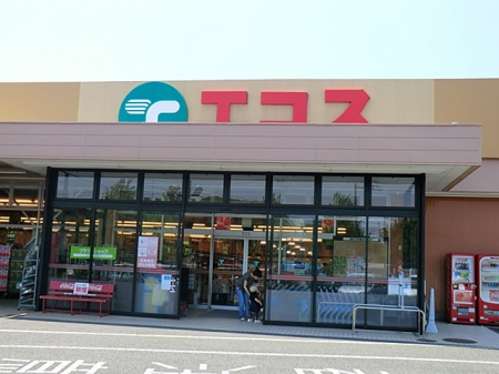 ӊ@X[p[ 720m TAIRAYA qX
