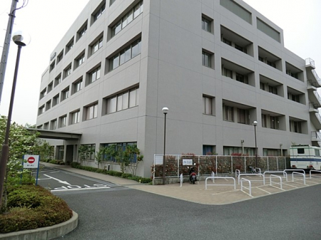 ӊ@a@ 1100m a@