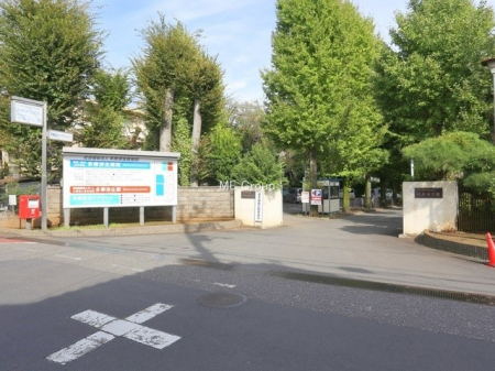 ӊ@a@ 260m ϐa@