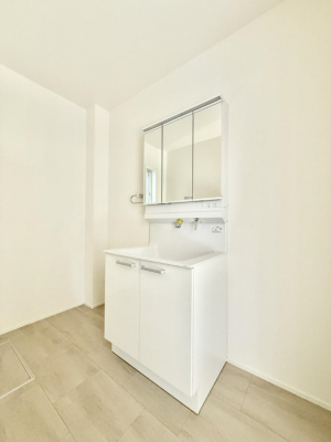 ���ʑ�E���ʏ��@���������̏������X���[�Y�ɂł���L���ł�