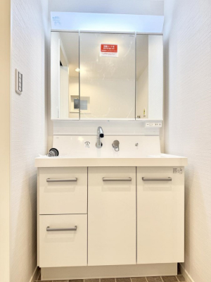 ���ʑ�E���ʏ��@���������̏������X���[�Y�ɂł���L���ł�