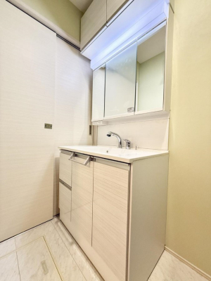 ���ʑ�E���ʏ��@���������̏������X���[�Y�ɂł���L���ł�