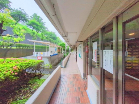 nOώʐ^@O