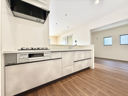 Lb`@VvŔSn悢Ԃ𐶂ރLb`