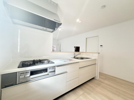 Lb`@VvŔSn悢Ԃ𐶂ރLb`