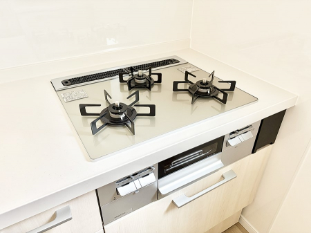 ̑ρ@ݔRR̃VXeLb`ŗ̎菇X[Y