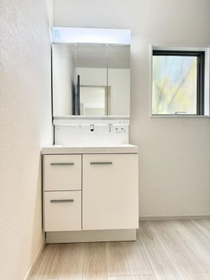 ���ʑ�E���ʏ��@���������̏������X���[�Y�ɂł���L���ł�