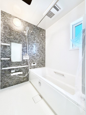 �����@�����������������F�����̕ǖʁA������芰����o�X���[��