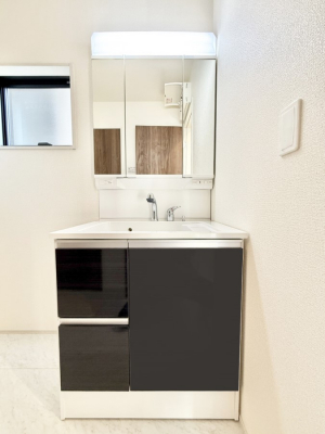 ���ʑ�E���ʏ��@���������̏������X���[�Y�ɂł���L���ł�