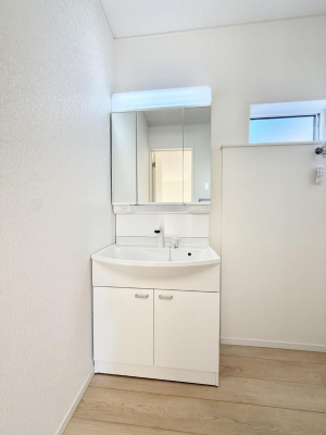 ���ʑ�E���ʏ��@���������̏������X���[�Y�ɂł���L���ł�