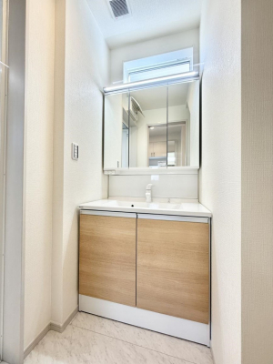 ���ʑ�E���ʏ��@���������̏������X���[�Y�ɂł���L���ł�