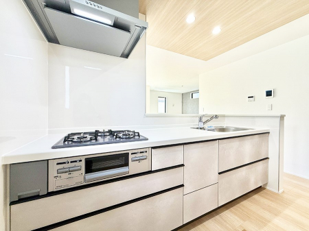 Lb`@VvŔSn悢Ԃ𐶂ރLb`