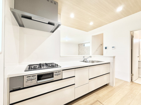 Lb`@VvŔSn悢Ԃ𐶂ރLb`