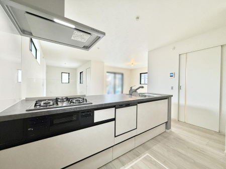 Lb`@VvŔSn悢Ԃ𐶂ރLb`