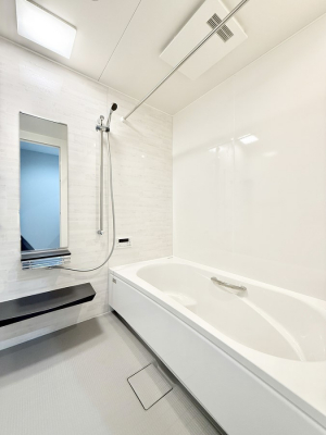 �����@����������̔�������A�S����������Ԃł�