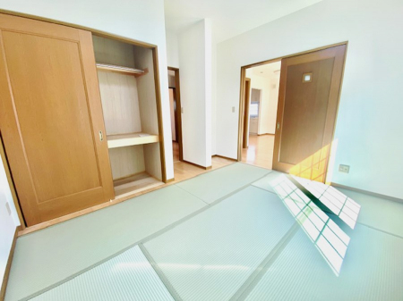 ���̑����ρ@����