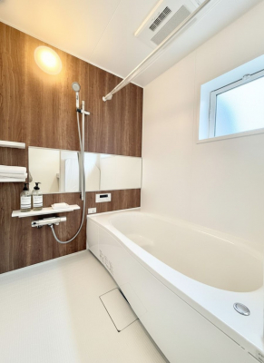 �����@�����������������F�����̕ǖʁA������芰����o�X���[��