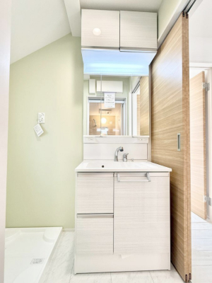 ���ʑ�E���ʏ��@���������̏������X���[�Y�ɂł���L���ł�