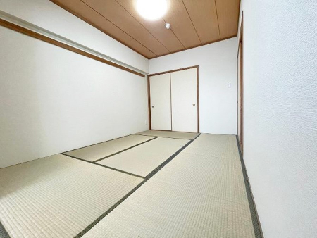 ���̑����ρ@����