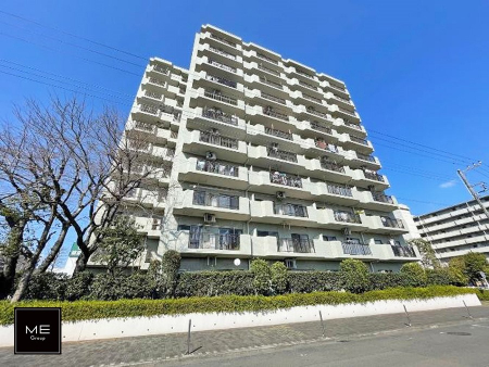 ���n�O�ώʐ^�@�O�ρ��Ƒ��̏Ί炪���ӂ��A�S���炮�Z�܂��ł�