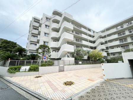 ���n�O�ώʐ^�@�O�ρ��Ƒ��̏Ί炪���ӂ��A�S���炮�Z�܂��ł�