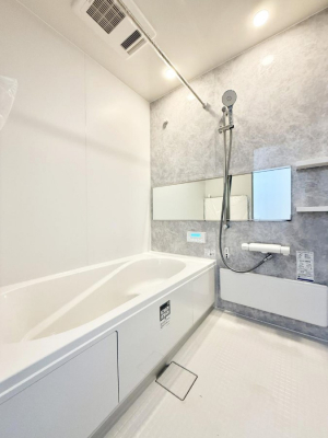 �����@�����������������F�����̕ǖʁA������芰����o�X���[��