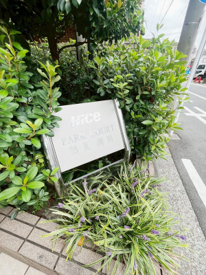 ̑@O