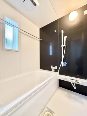 �����@�����������������F�����̕ǖʁA������芰����o�X���[��