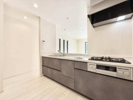 Lb`@VvŔSn悢Ԃ𐶂ރLb`