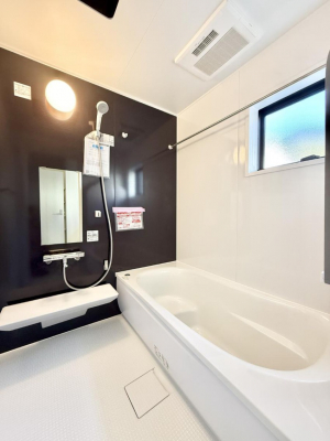 �����@�����������������F�����̕ǖʁA������芰����o�X���[��