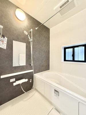 �����@�����������������F�����̕ǖʁA������芰����o�X���[��