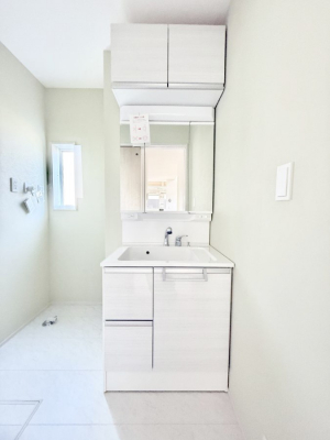 ���ʑ�E���ʏ��@���������̏������X���[�Y�ɂł���L���ł�