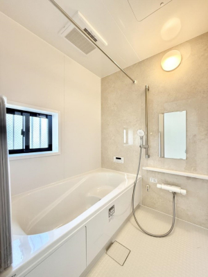 �����@�����������������F�����̕ǖʁA������芰����o�X���[��