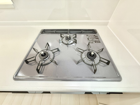 ̑ρ@ݔRR̃VXeLb`ŗ̎菇X[Y