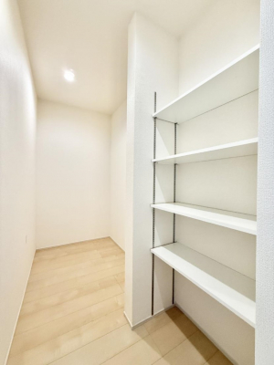 ���[�@����