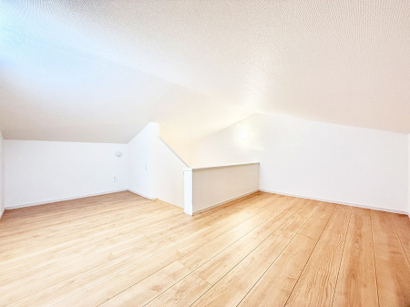 ���̑��@������+���̃X�y�[�X�I���t�g�t���I  