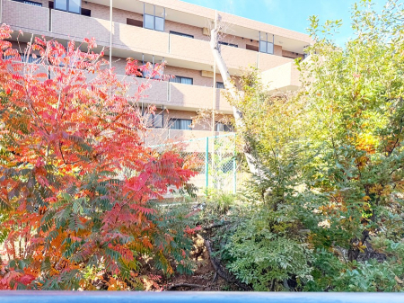 ���̑��@�O��