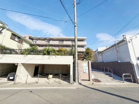 ���n�O�ώʐ^�@�O�ρ��D��ȃ��C�����A�������������Ă܂�