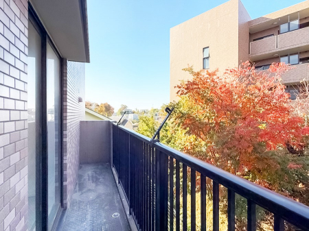 �o���R�j�[�@������ �G�߂̈ڂ낢����������J���I�ȋ�Ԃł�