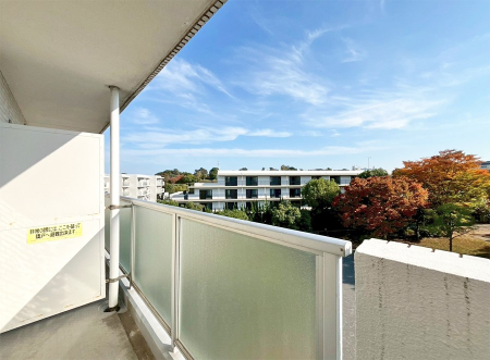 �o���R�j�[�@������ �Ƒ���Q�X�g���₳�����}����A�S�n�悢���