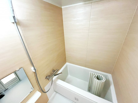 �����@�����������������F�����̕ǖʁA������芰����o�X���[��