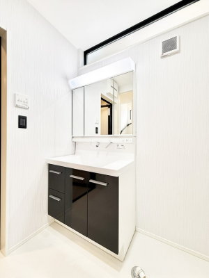 ���ʑ�E���ʏ��@���������̏������X���[�Y�ɂł���L���ł�