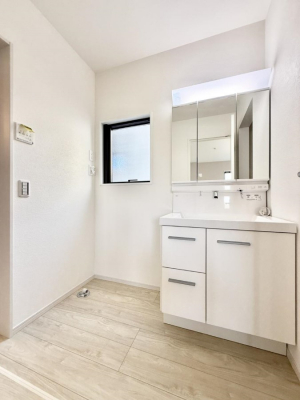 ���ʑ�E���ʏ��@���������̏������X���[�Y�ɂł���L���ł�