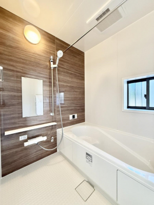 �����@�����������������F�����̕ǖʁA������芰����o�X���[��