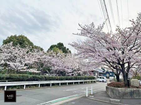 nOώʐ^@OρƑ݂ȂΊŉ߂AŜZ܂