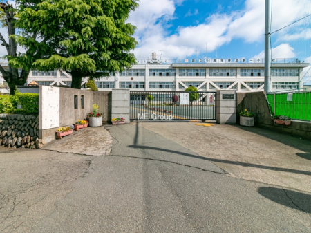 ӊ@wZ 388m sqꏬwZ