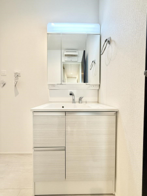 ���ʑ�E���ʏ��@���������̏������X���[�Y�ɂł���L���ł�