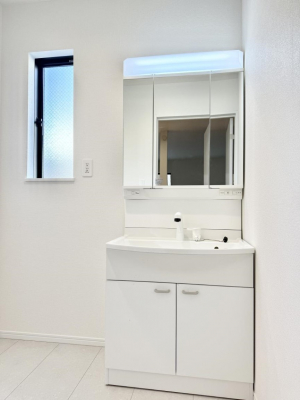 ���ʑ�E���ʏ��@���������̏������X���[�Y�ɂł���L���ł�