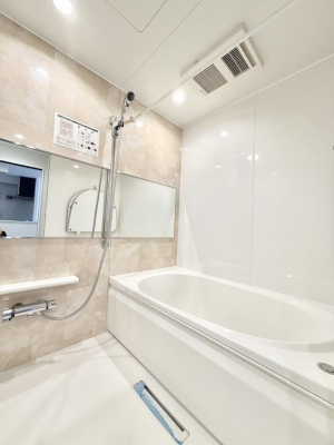 �����@�����������������F�����̕ǖʁA������芰����o�X���[��